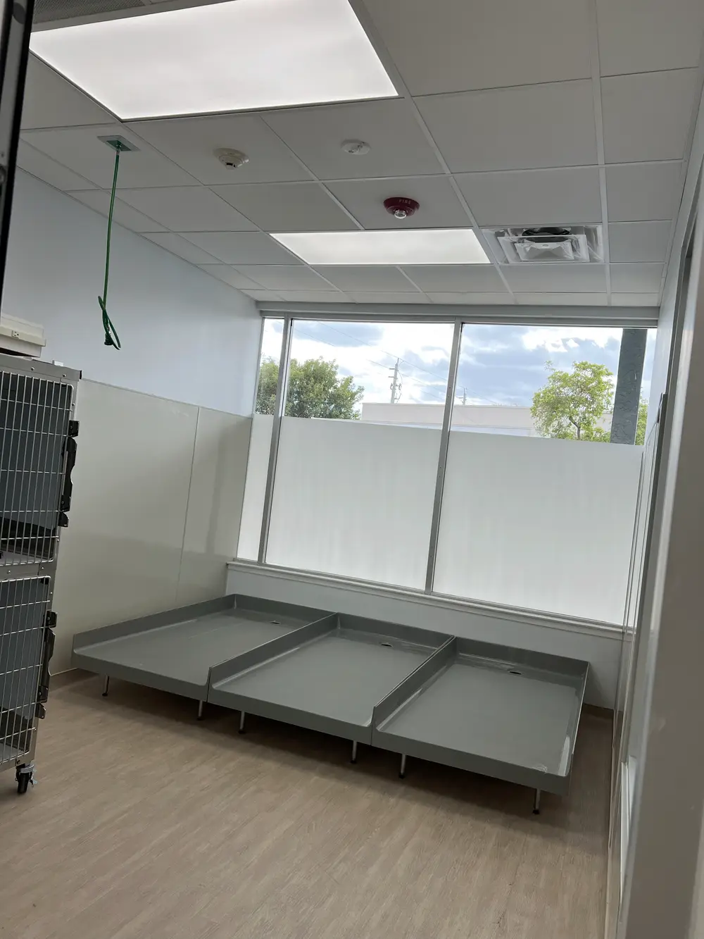 Hillsboro Animal Hospital — photo 8